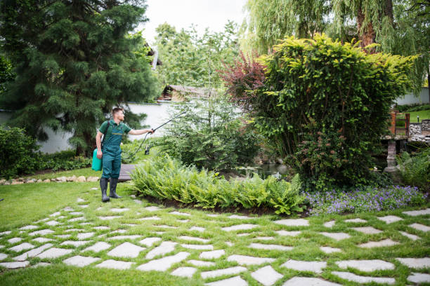 Best Lawn Drainage Solutions  in Bellmore, NY